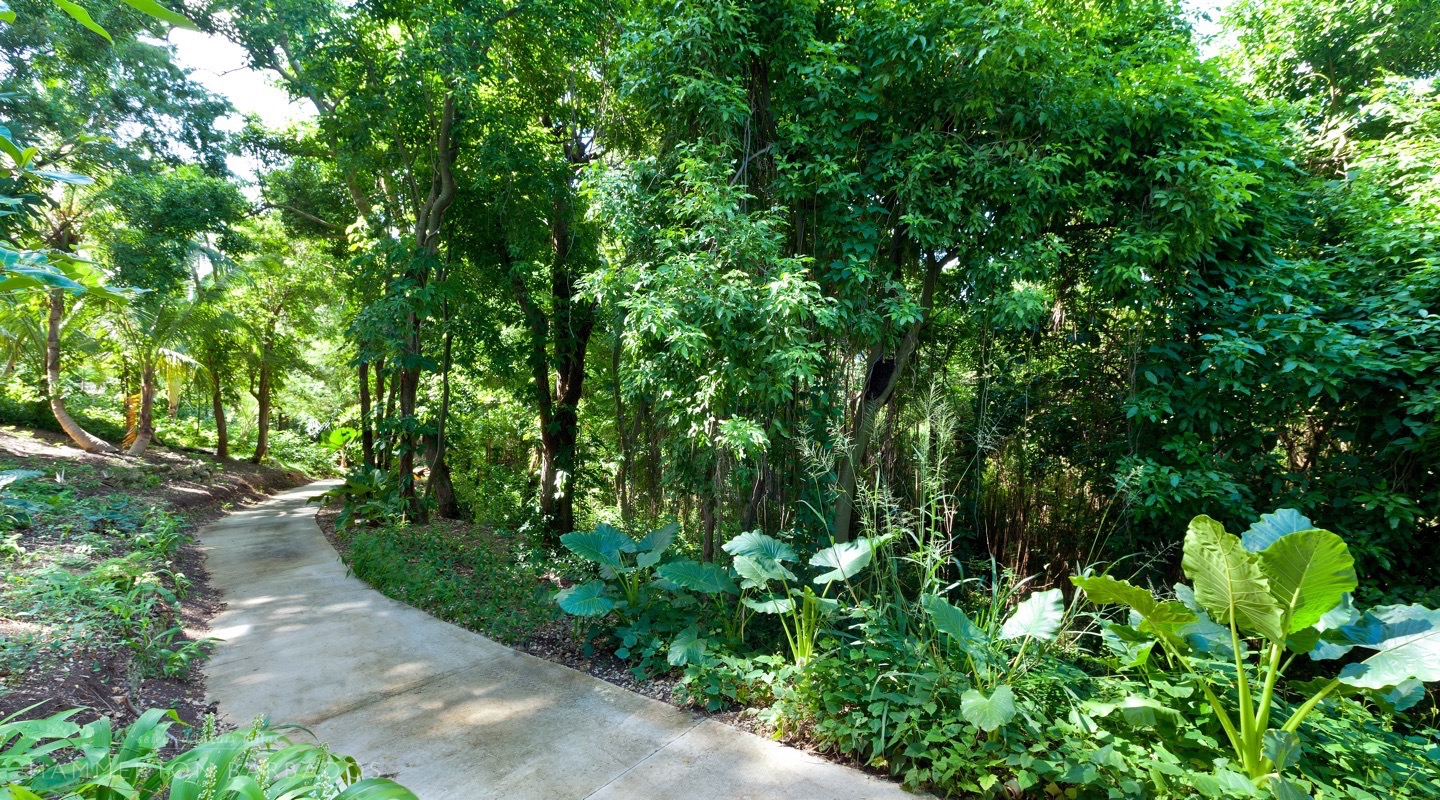 Fustic House, Fustic Village with Hammerton Barbados