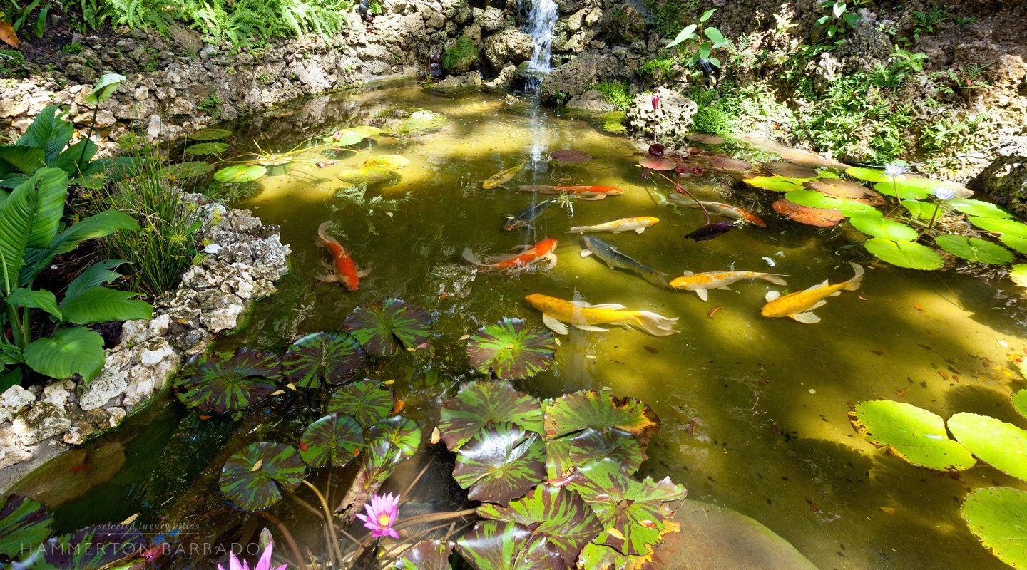 Fustic House, Fustic Village with Hammerton Barbados