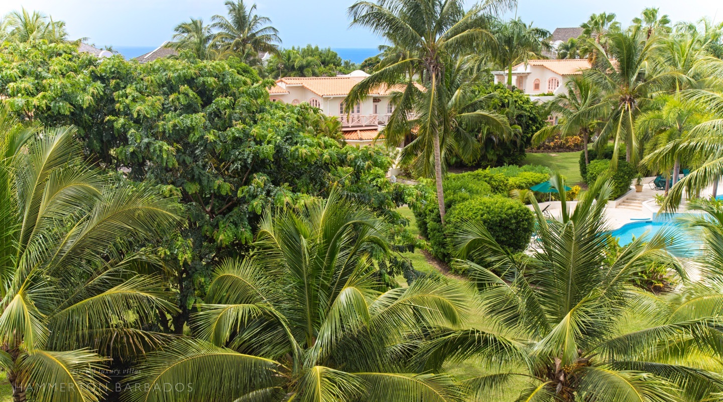 Sugar Hill C310, Sugar Hill with Hammerton Barbados