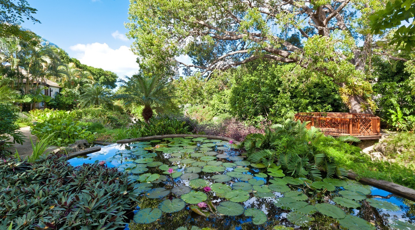 Gardenia, The Garden with Hammerton Barbados
